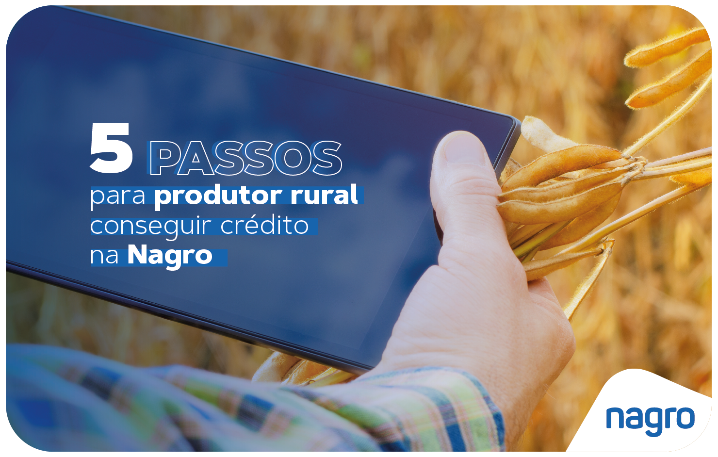 Nagro Crédito Agro: 5 passos para produtor rural conseguir financiamento