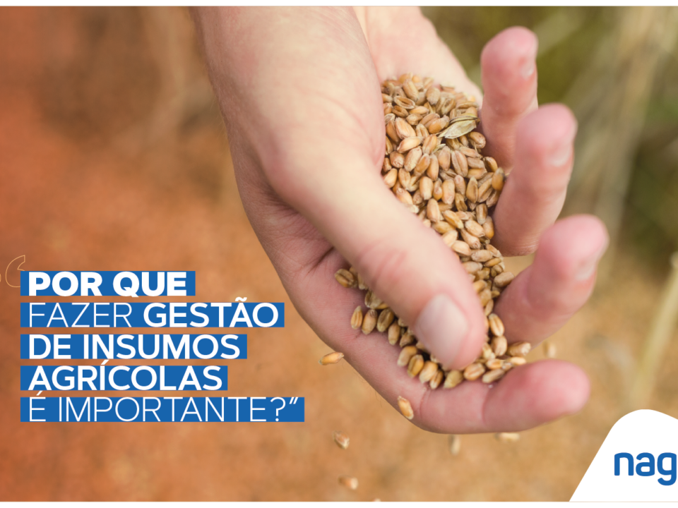 Por que fazer gestão de insumos agrícolas é importante?