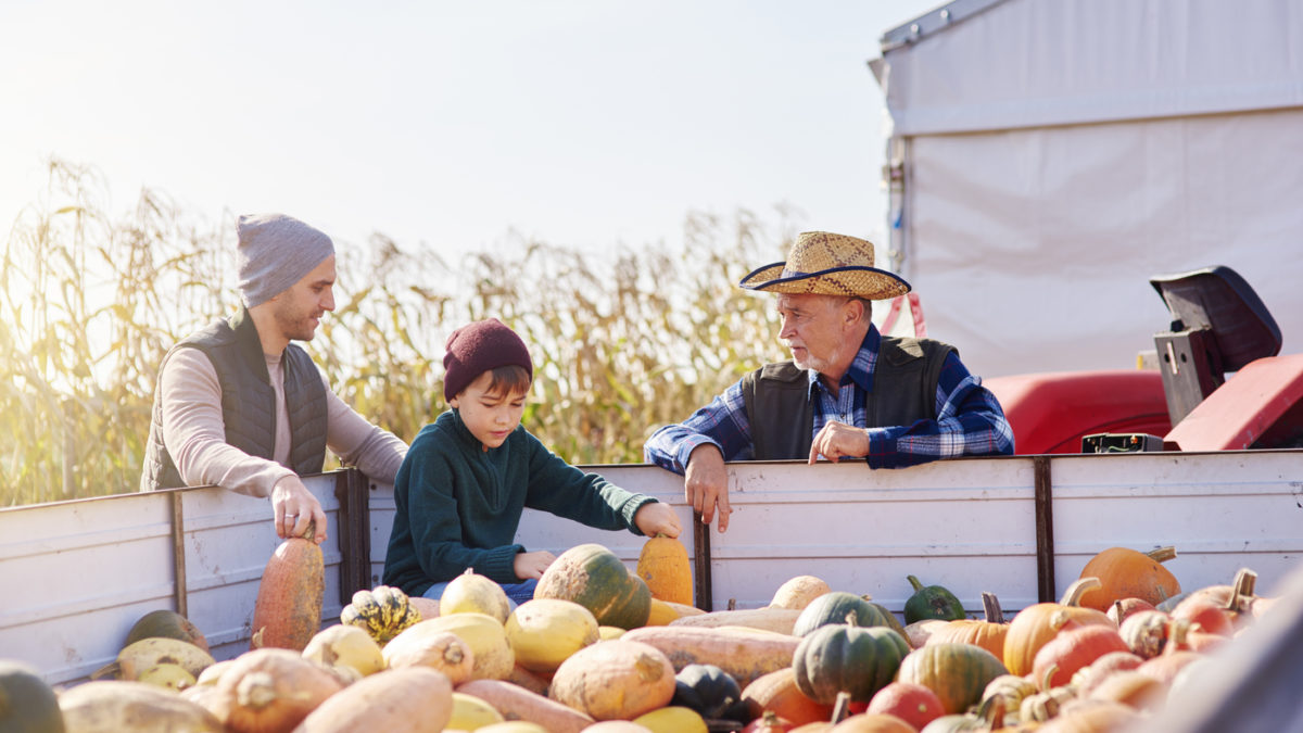 Crédito para Agricultura Familiar, o que é e quais são as linhas disponíveis