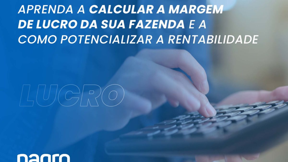 Aprenda a calcular margem de lucro na fazenda