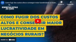 Como fugir dos custos altos e conseguir maior lucratividade na fazenda?