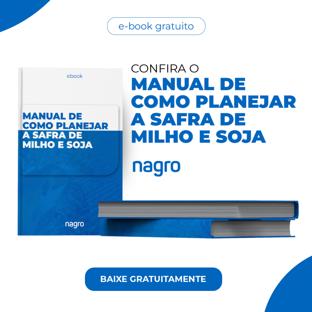 Emissão de Cafir: passo a passo para ter esse documento sem complicação ...