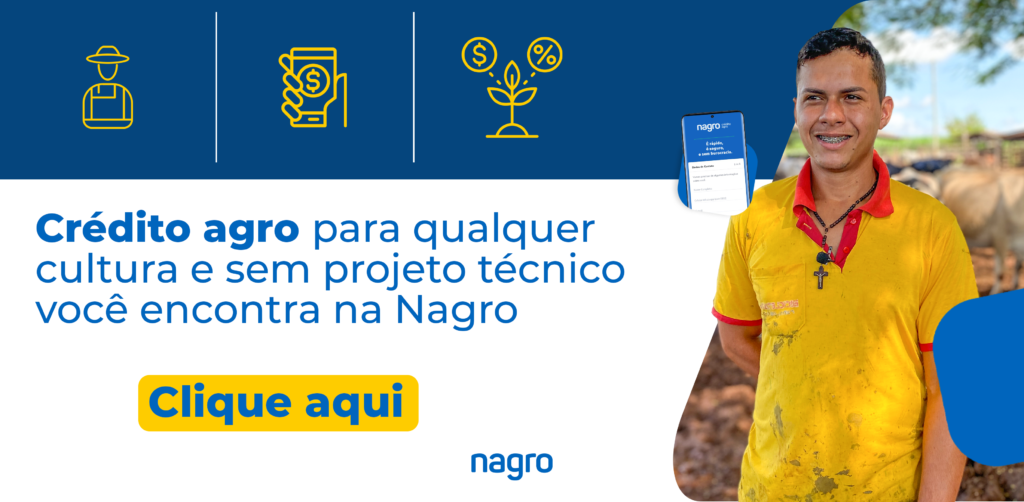 Emissão de Cafir: passo a passo para ter esse documento sem complicação ...
